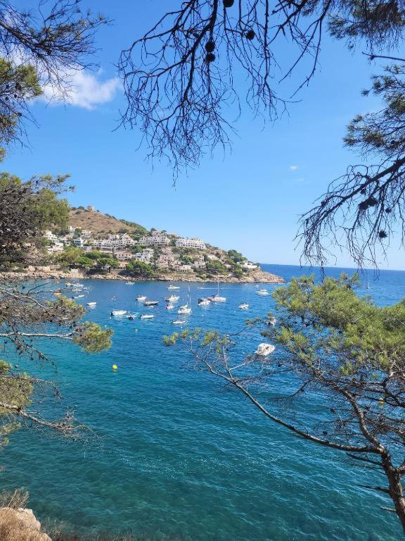Apartamento Cala Montgo L' Escala Esterno foto